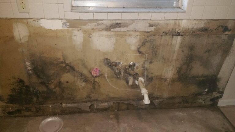Black Mold Inspection-Testing Tampa FL