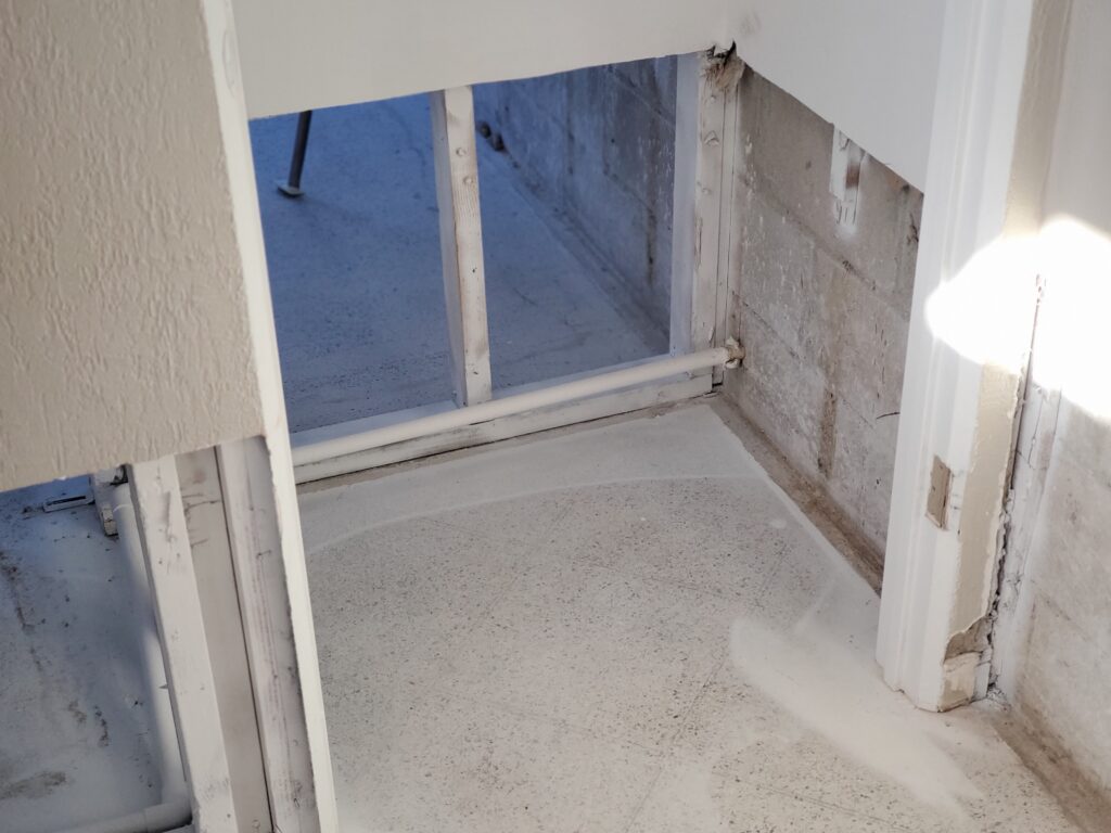 Mold remediation Clearwater
