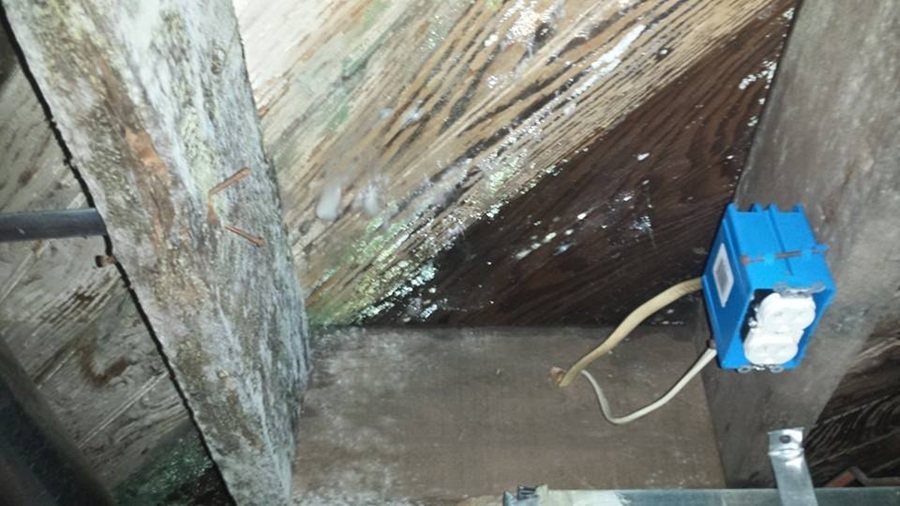 crawl space mold removal Clearwater